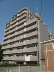 コアマンション大江東　504号の画像１