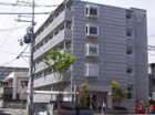 マンション望