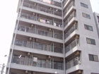 ステラ２１